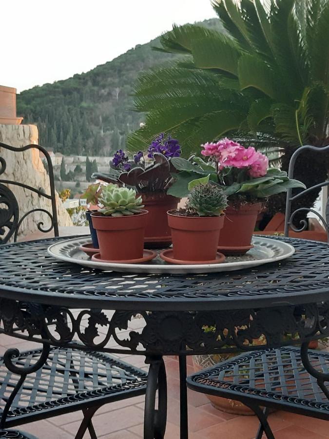 Luxury Sea View Apartments Dubrovnik Extérieur photo